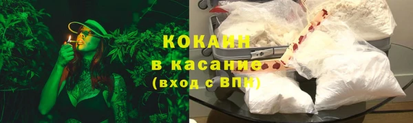 крисы Пересвет