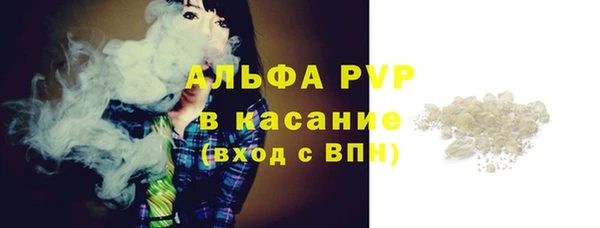 крисы Пересвет
