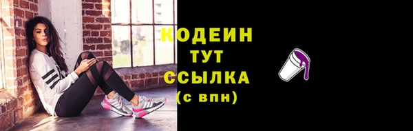крисы Пересвет