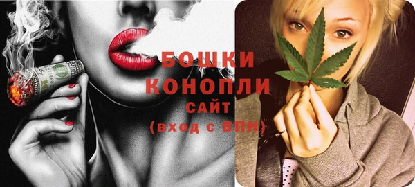 крисы Пересвет