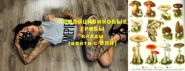 ПСИЛОЦИБИНОВЫЕ ГРИБЫ Переславль-Залесский