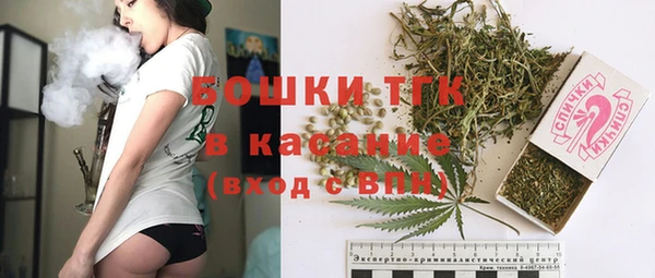 эйфоретик Пестово