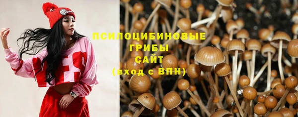 ПСИЛОЦИБИНОВЫЕ ГРИБЫ Переславль-Залесский